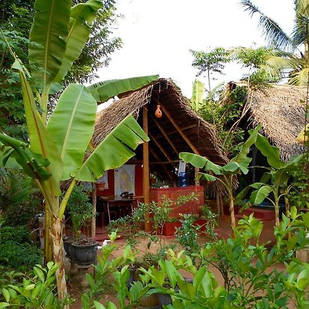 Homestay Camping อนุราธปุระ ภายนอก รูปภาพ