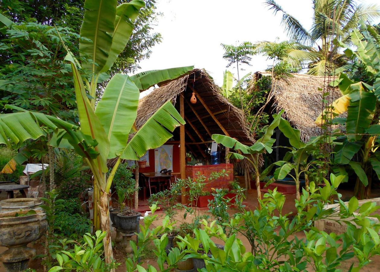Homestay Camping อนุราธปุระ ภายนอก รูปภาพ