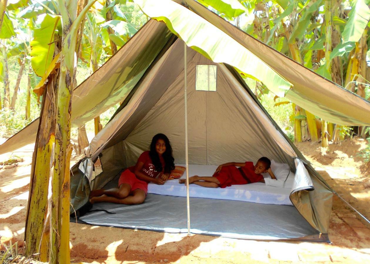 Homestay Camping อนุราธปุระ ภายนอก รูปภาพ