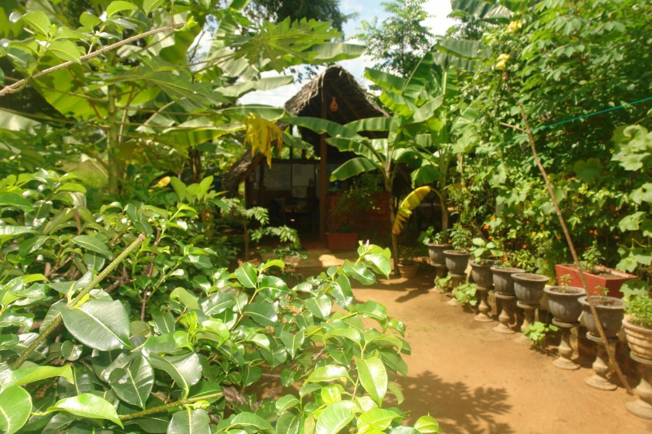Homestay Camping อนุราธปุระ ภายนอก รูปภาพ