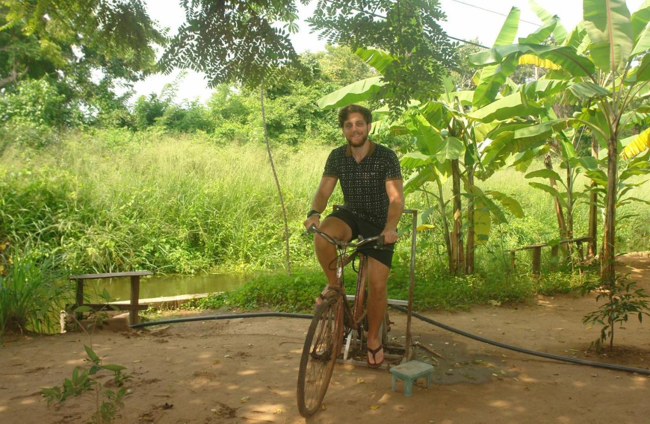 Homestay Camping อนุราธปุระ ภายนอก รูปภาพ