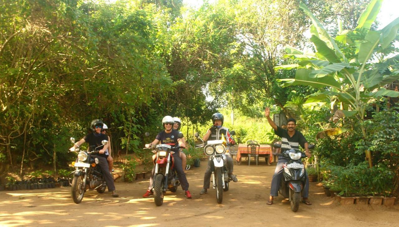Homestay Camping อนุราธปุระ ภายนอก รูปภาพ